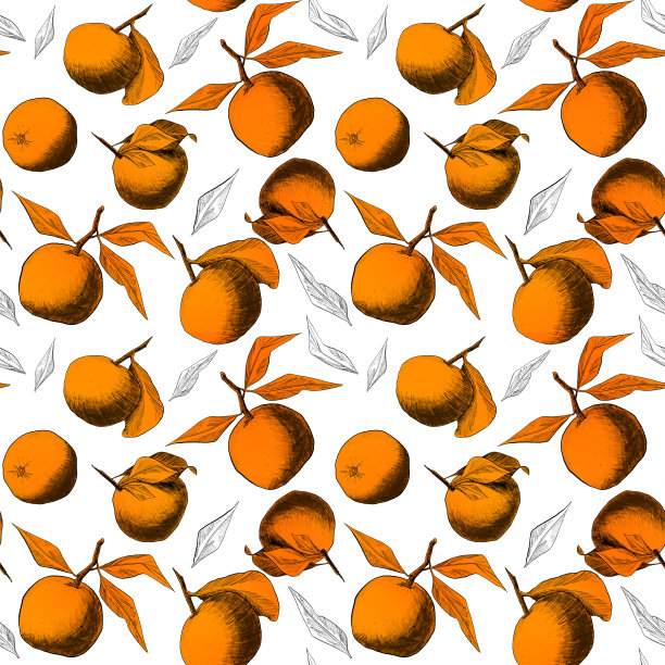 无缝图案:橘子或苹果，独特的铅笔画的水果和树叶组合成美丽的构图图片下载