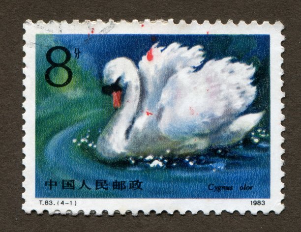 中国邮票:白天鹅图片下载