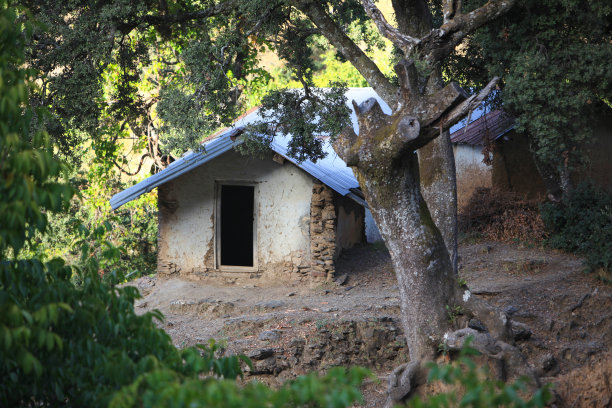 森林里的空房子;废弃的老房子;摩洛哥乡村的传统老房子图片下载