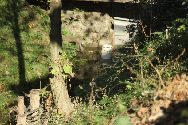 山上的木屋在小山上图片下载