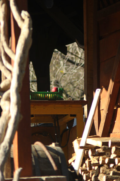 山上的木屋在小山上图片下载