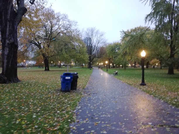 孤独的走在秋天图片下载