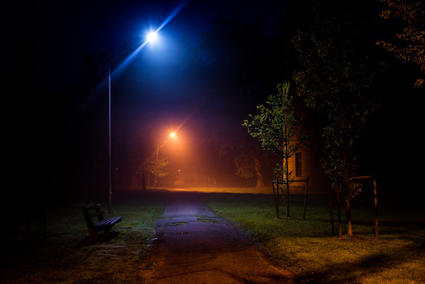 清晨在公园里。黑暗的树木，雾和灯光。Kemeri、拉脱维亚图片下载