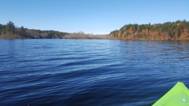 在湖上图片下载