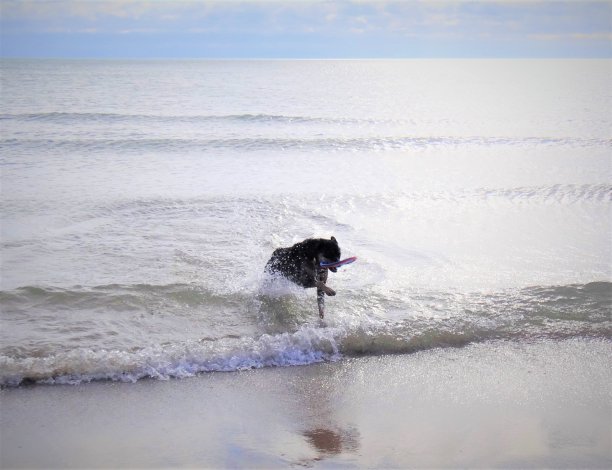 家乡海滨/公园图片下载