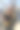 一个年轻人抱着女朋友在公园里图片下载