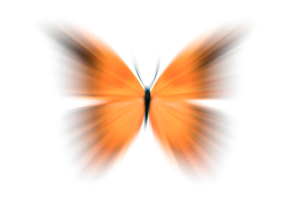 美丽的黄色蝴蝶，翅膀模糊。在白色背景上隔离图片下载