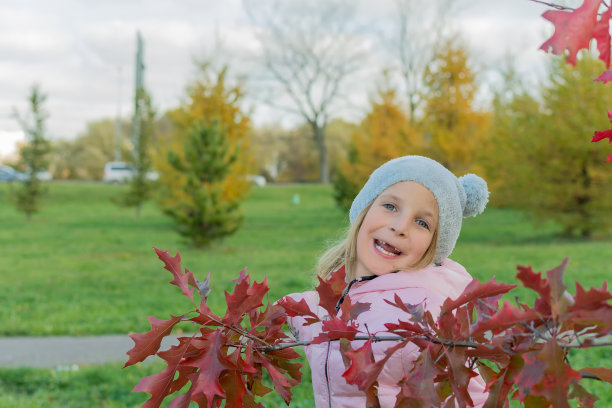秋天的照片笑小女孩与红色的日本枫树枝图片下载