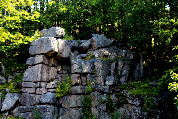 Sctructure自然图片下载