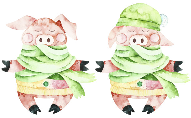 水彩画圣诞可爱的猪。图片下载