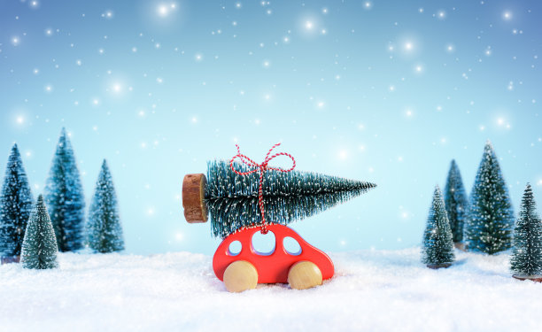 雪景中，一辆载着圣诞树的汽车图片下载