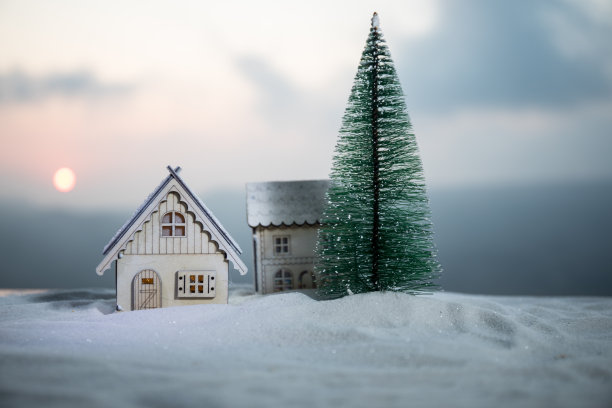 阳光下，雪中的云杉木屋图片下载