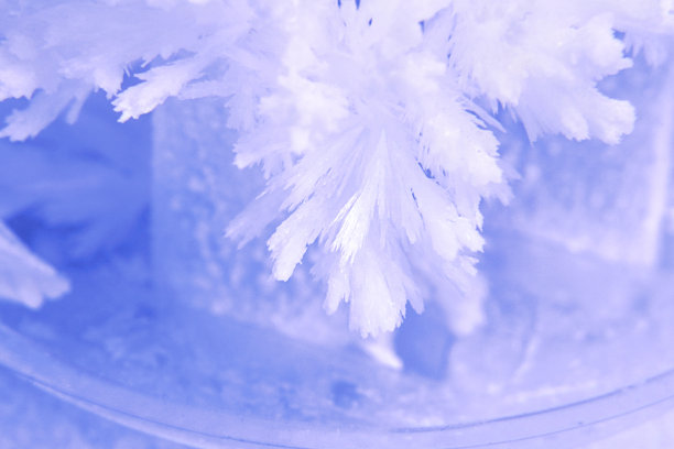 美丽的水晶或雪花。圣诞节或新年，贺卡，背景。选择性对焦，模糊，特写，微距。图片下载