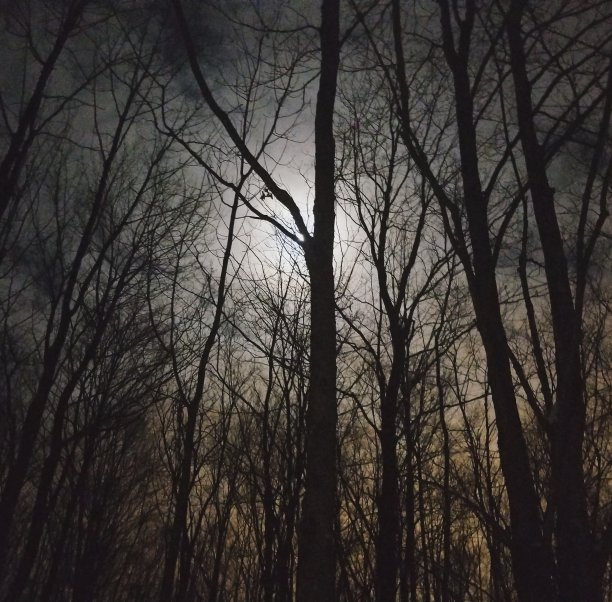 月亮的影子图片下载