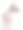 5个月大的无毛吉娃娃站在白色背景前图片下载