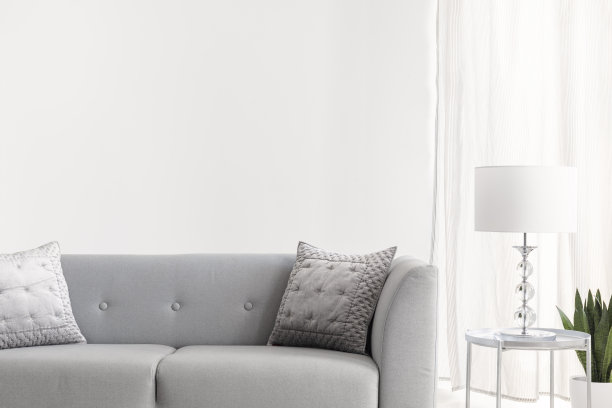 在明亮的纽约风格的客厅里，优雅的沙发上放着灰色的天鹅绒枕头，空白的白色墙壁上有真实的照片和复制空间图片下载
