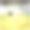 野生法罗羊图片下载