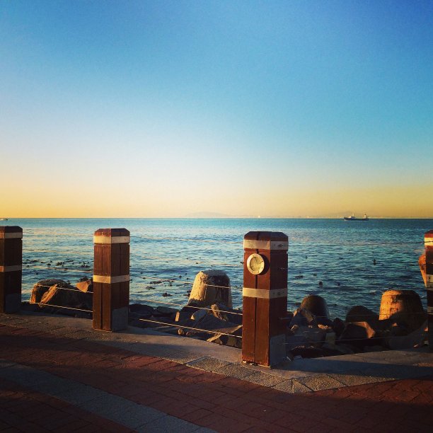 表湾的美丽图片下载