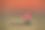太阳落在VD702号船上图片下载