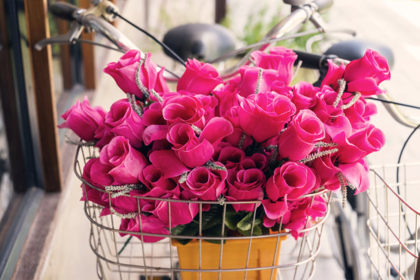 自行车前面的花篮上有粉红色的花图片下载