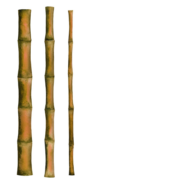 水彩竹枝，树木，树干，筷子图片下载