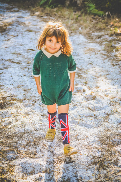 甜黄樟图片下载