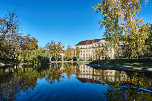 公园里的树和五颜六色的秋叶在池塘和公寓图片下载