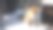 雪域间的狐猴图片下载