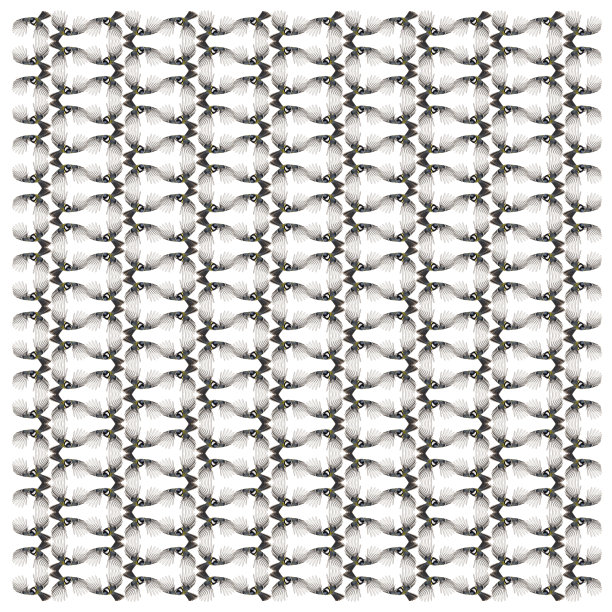 大山雀在白色背景前以重复的图案飞行图片下载