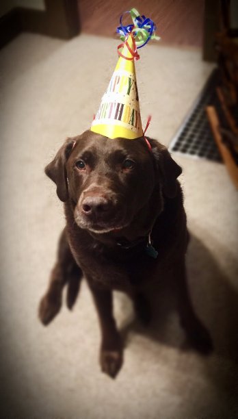 生日快乐图片下载