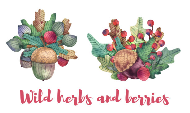 秋花环，红浆果，水彩画图片下载