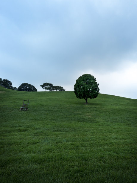 孤独的树图片下载