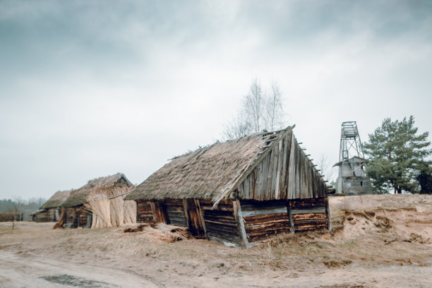 覆盖着芦苇的木制谷仓。废弃的村庄。图片下载