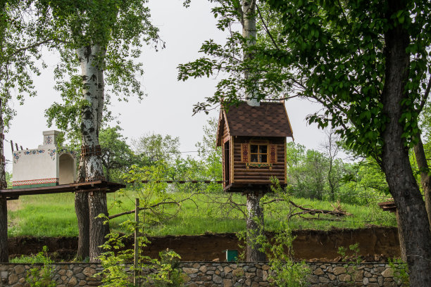 小型的俄罗斯小屋，棕色的木梁和木板。站在树林里。在各种树木和植被中。图片下载