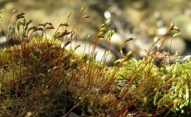 慕斯联邦储备银行图片下载