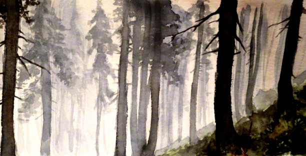 幽暗的灌木丛图片下载