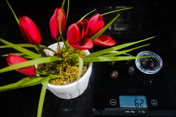 厨房秤上的橄榄图片下载