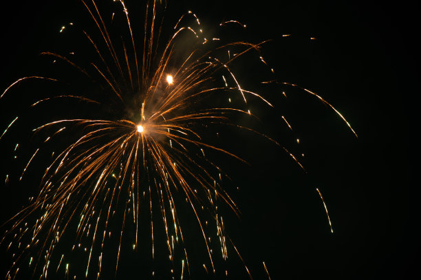 鞭炮花图片素材ID：326404752