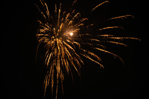 鞭炮花图片素材ID：326404878