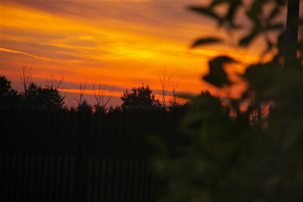 塞尔维亚的日落图片下载