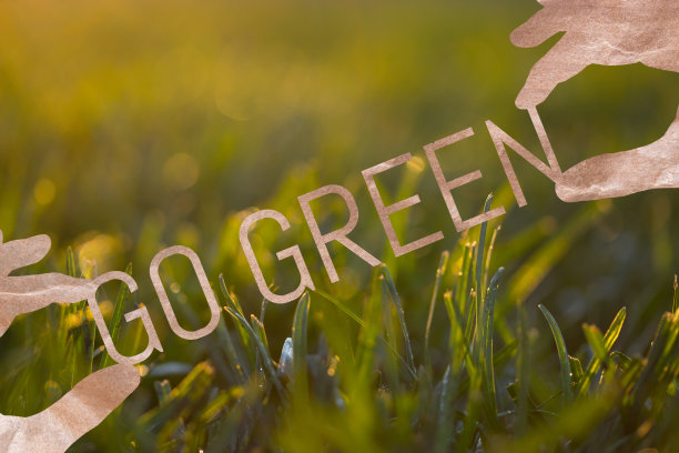 走绿色理念形象。走绿色的文字在森林的背景上图片下载