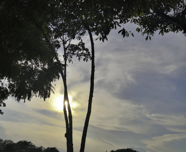 高尔夫球场图片下载