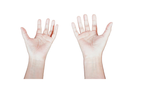 空手在白色背景图片下载