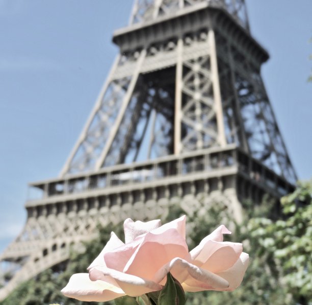 埃菲尔铁塔与玫瑰图片下载