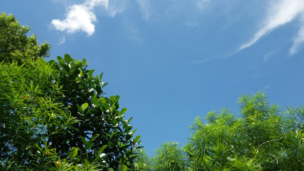 花园和天空图片下载