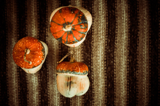 南瓜孤立在老式条纹布上图片下载