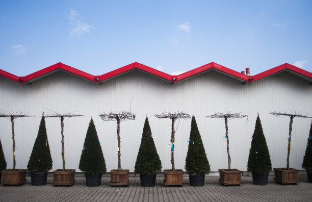 树苗圃图片下载