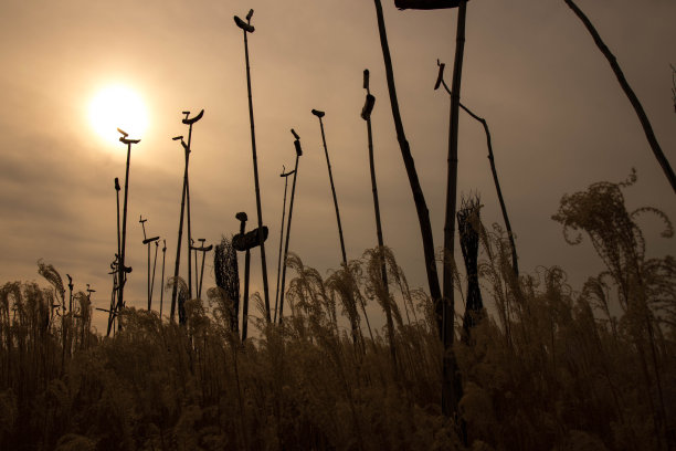 日落时分的仁川国际机场图片下载