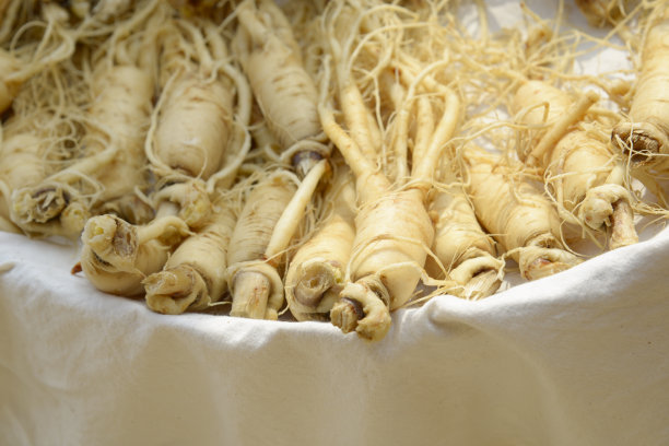 红参特写图片下载