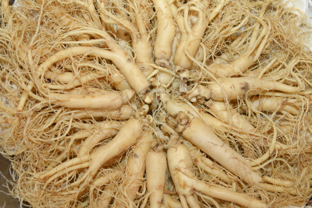 许多红参图片下载